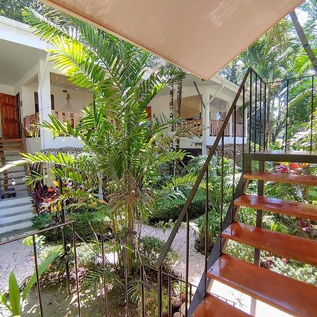 Colibri Apartments - 4 Min Walk To The Beach! Playa Santa Teresa  Ngoại thất bức ảnh