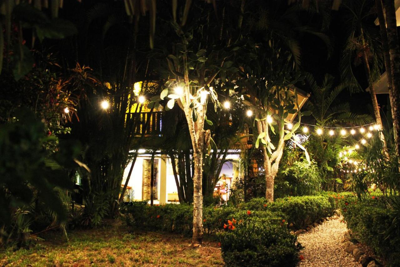 Colibri Apartments - 4 Min Walk To The Beach! Playa Santa Teresa  Ngoại thất bức ảnh