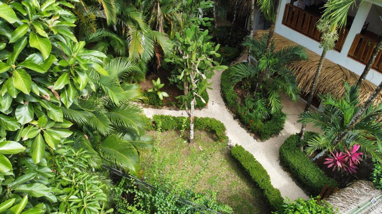 Colibri Apartments - 4 Min Walk To The Beach! Playa Santa Teresa  Ngoại thất bức ảnh