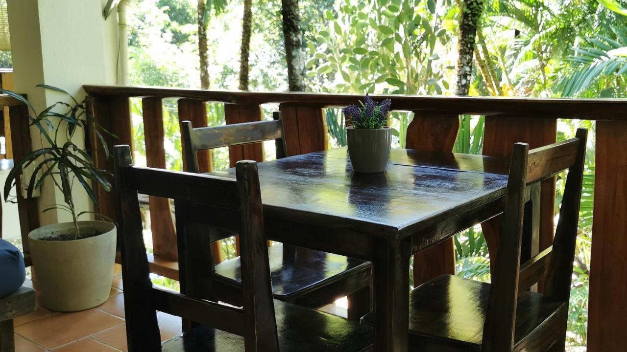 Colibri Apartments - 4 Min Walk To The Beach! Playa Santa Teresa  Ngoại thất bức ảnh