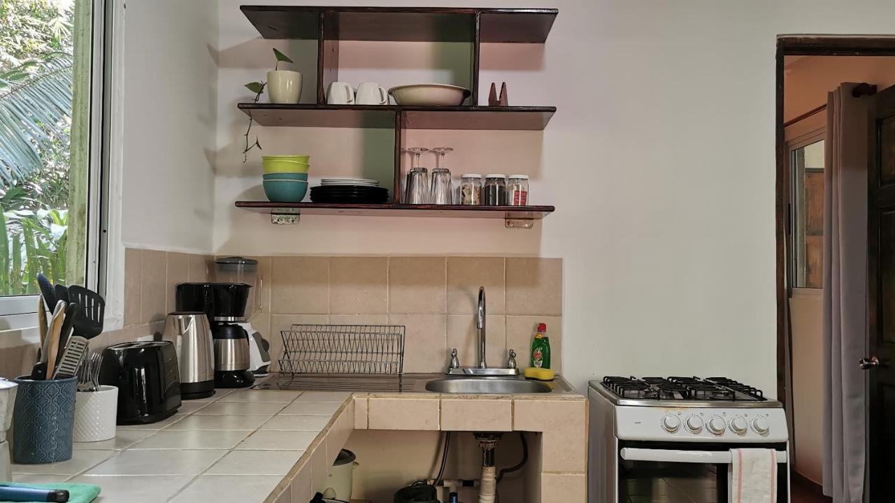 Colibri Apartments - 4 Min Walk To The Beach! Playa Santa Teresa  Ngoại thất bức ảnh
