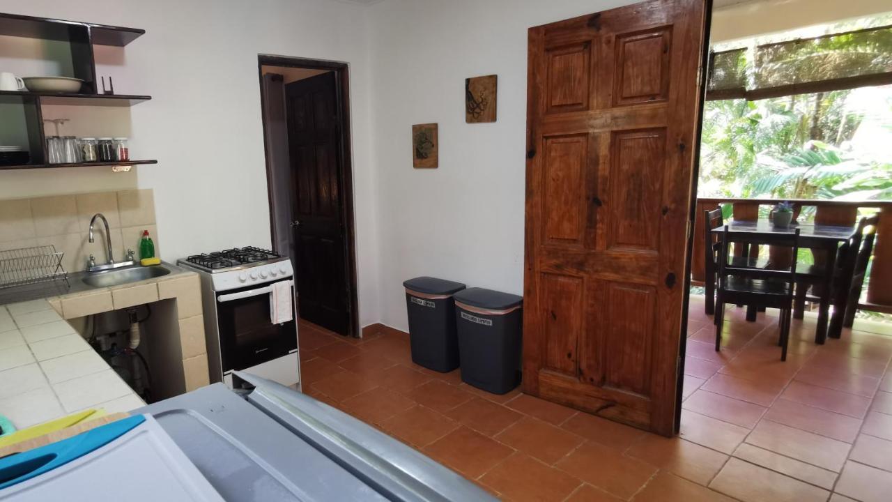 Colibri Apartments - 4 Min Walk To The Beach! Playa Santa Teresa  Ngoại thất bức ảnh