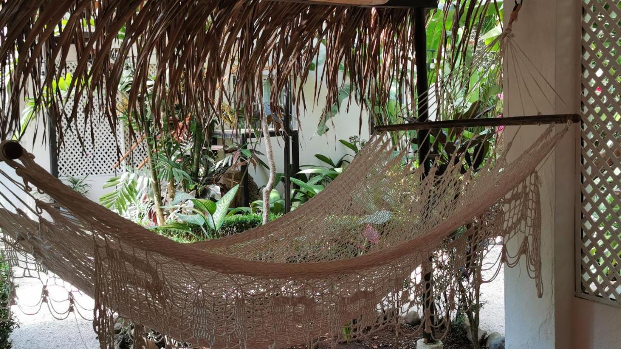 Colibri Apartments - 4 Min Walk To The Beach! Playa Santa Teresa  Ngoại thất bức ảnh