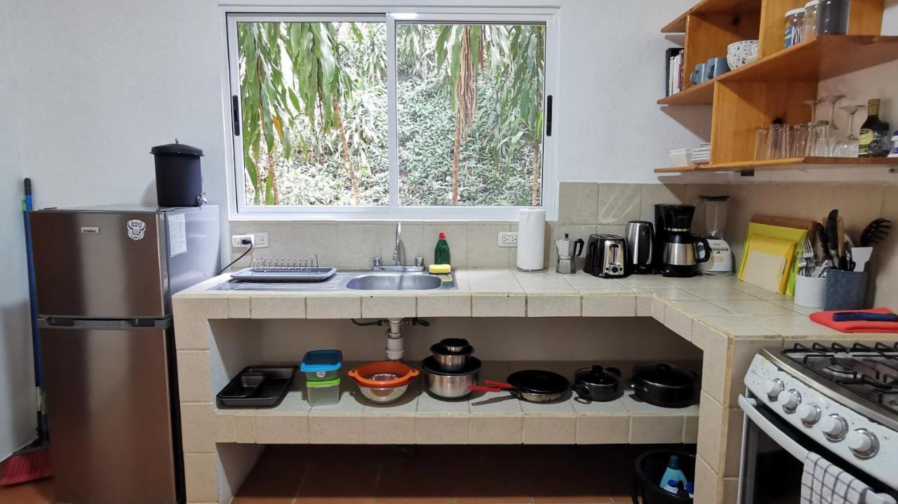 Colibri Apartments - 4 Min Walk To The Beach! Playa Santa Teresa  Ngoại thất bức ảnh