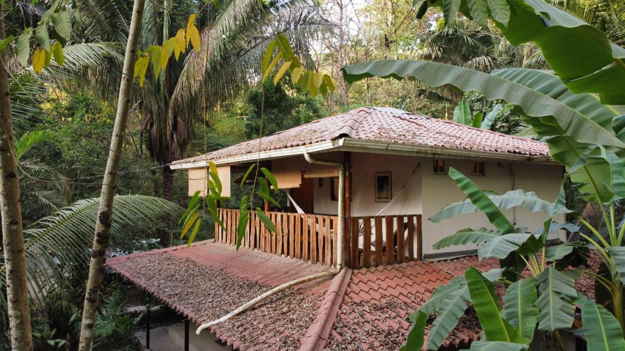 Colibri Apartments - 4 Min Walk To The Beach! Playa Santa Teresa  Ngoại thất bức ảnh