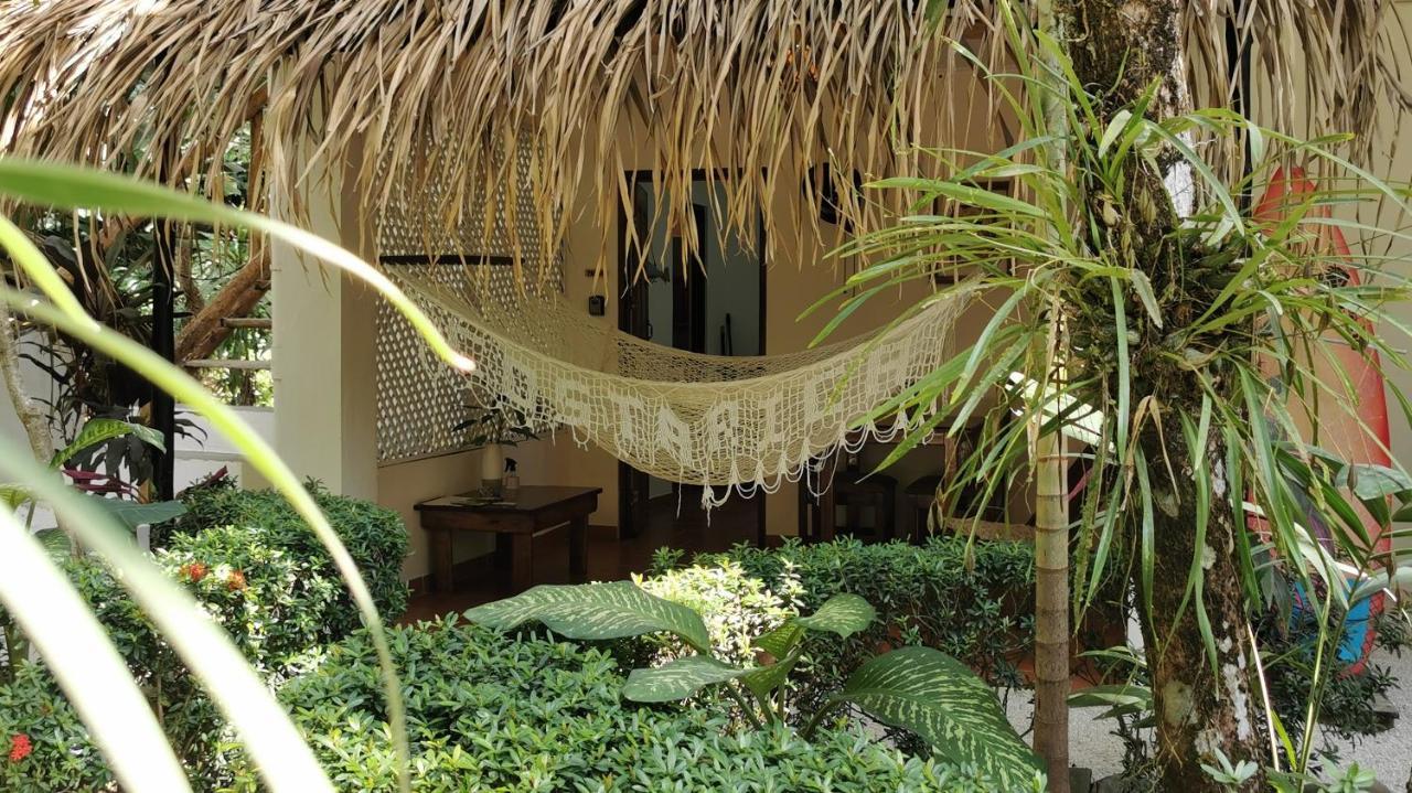 Colibri Apartments - 4 Min Walk To The Beach! Playa Santa Teresa  Ngoại thất bức ảnh