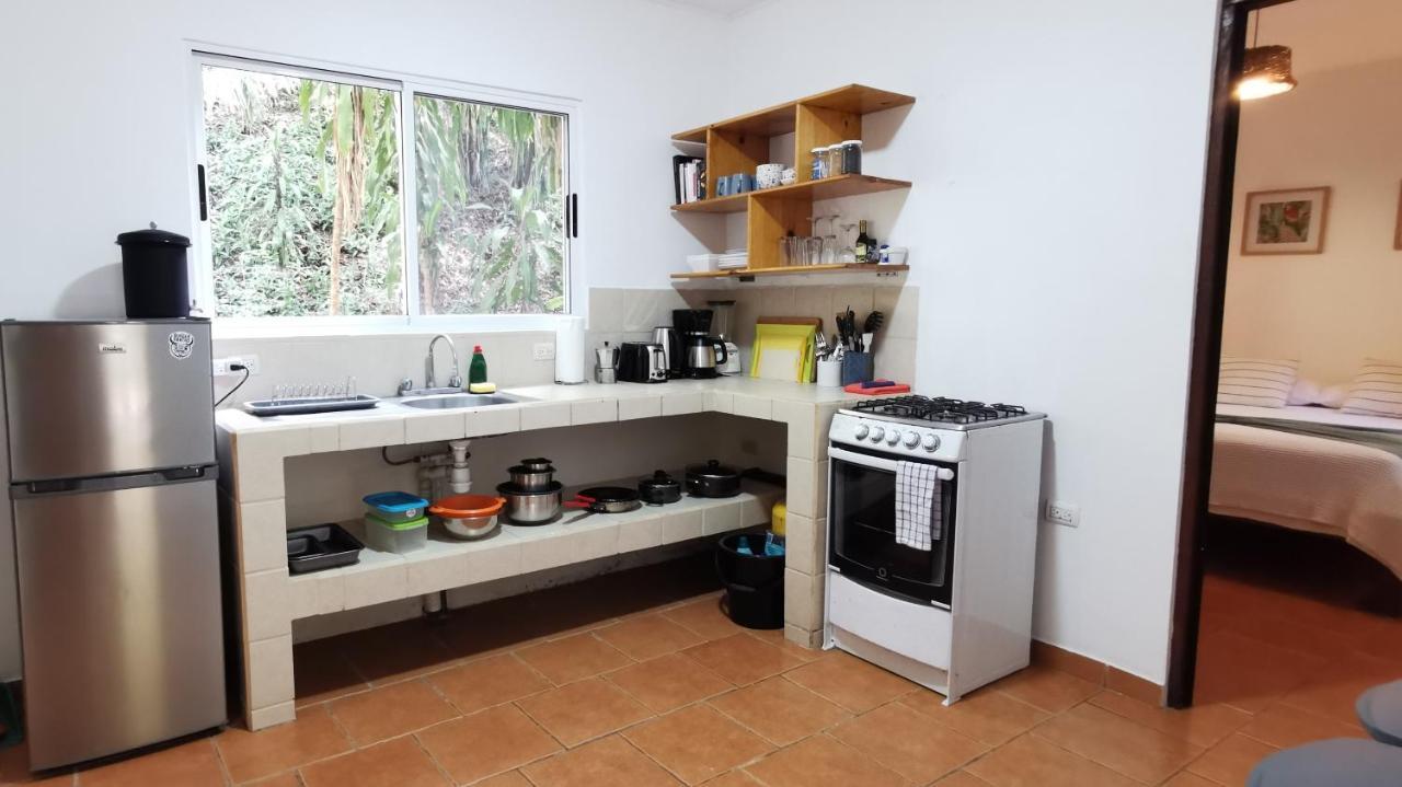 Colibri Apartments - 4 Min Walk To The Beach! Playa Santa Teresa  Ngoại thất bức ảnh
