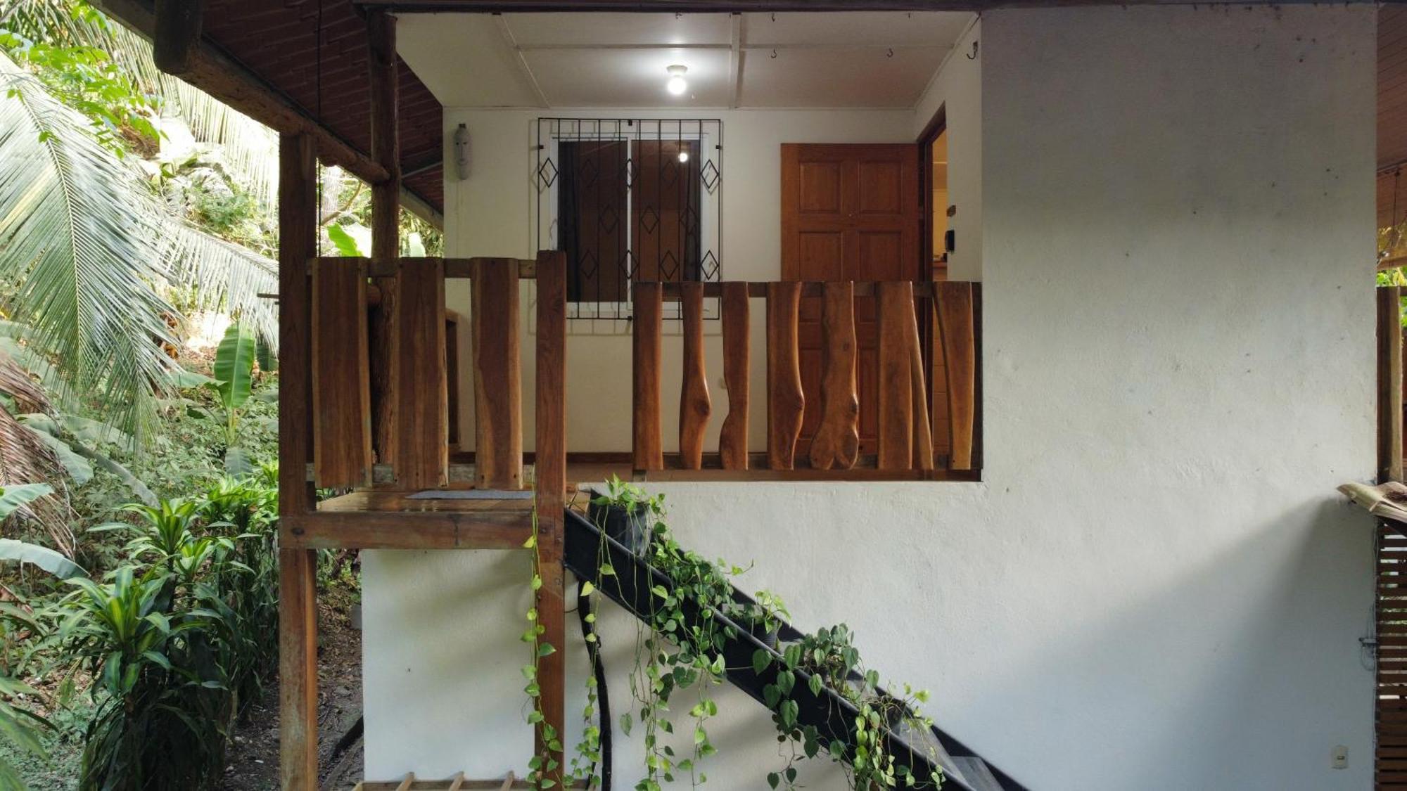 Colibri Apartments - 4 Min Walk To The Beach! Playa Santa Teresa  Phòng bức ảnh
