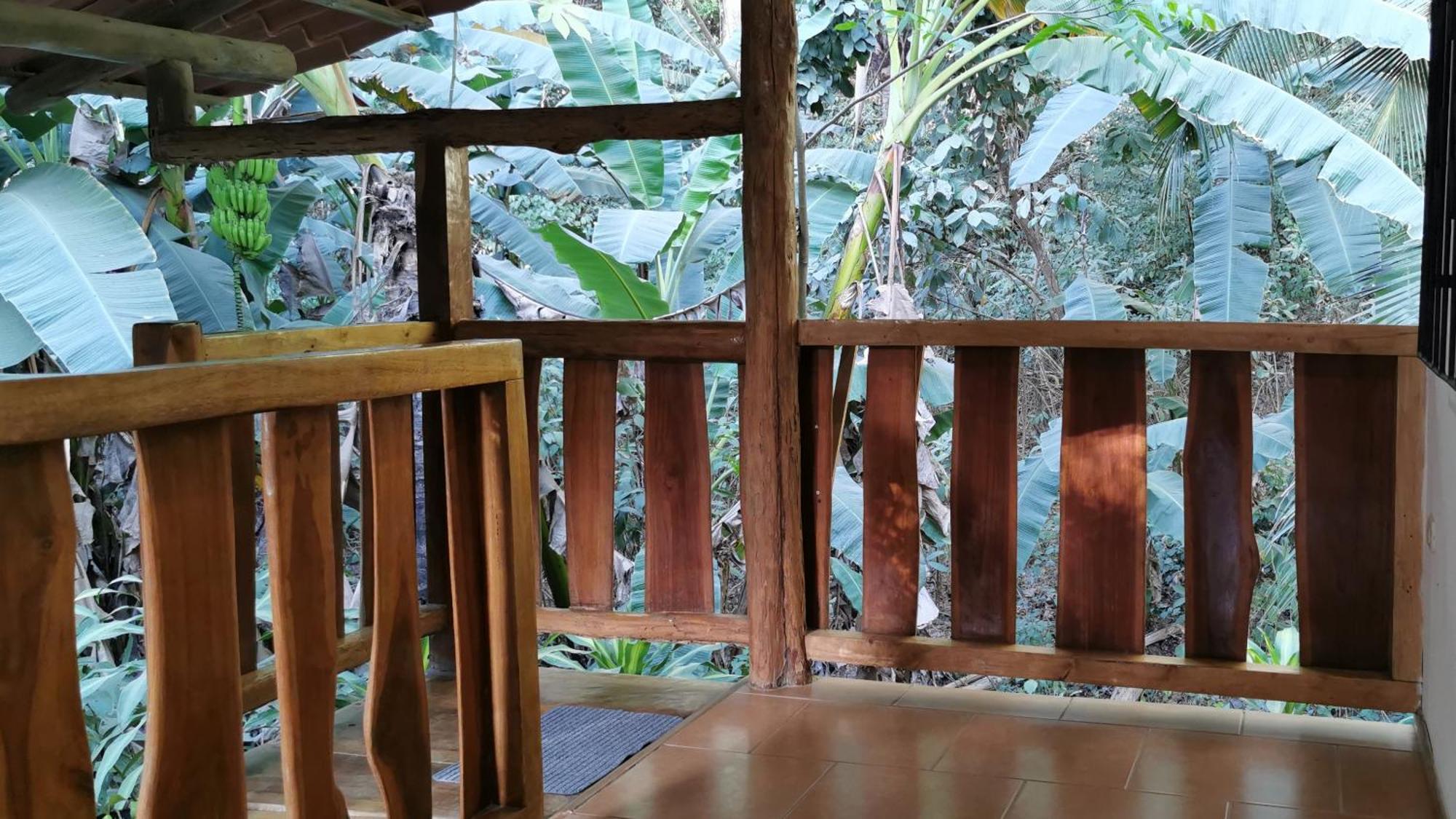 Colibri Apartments - 4 Min Walk To The Beach! Playa Santa Teresa  Phòng bức ảnh
