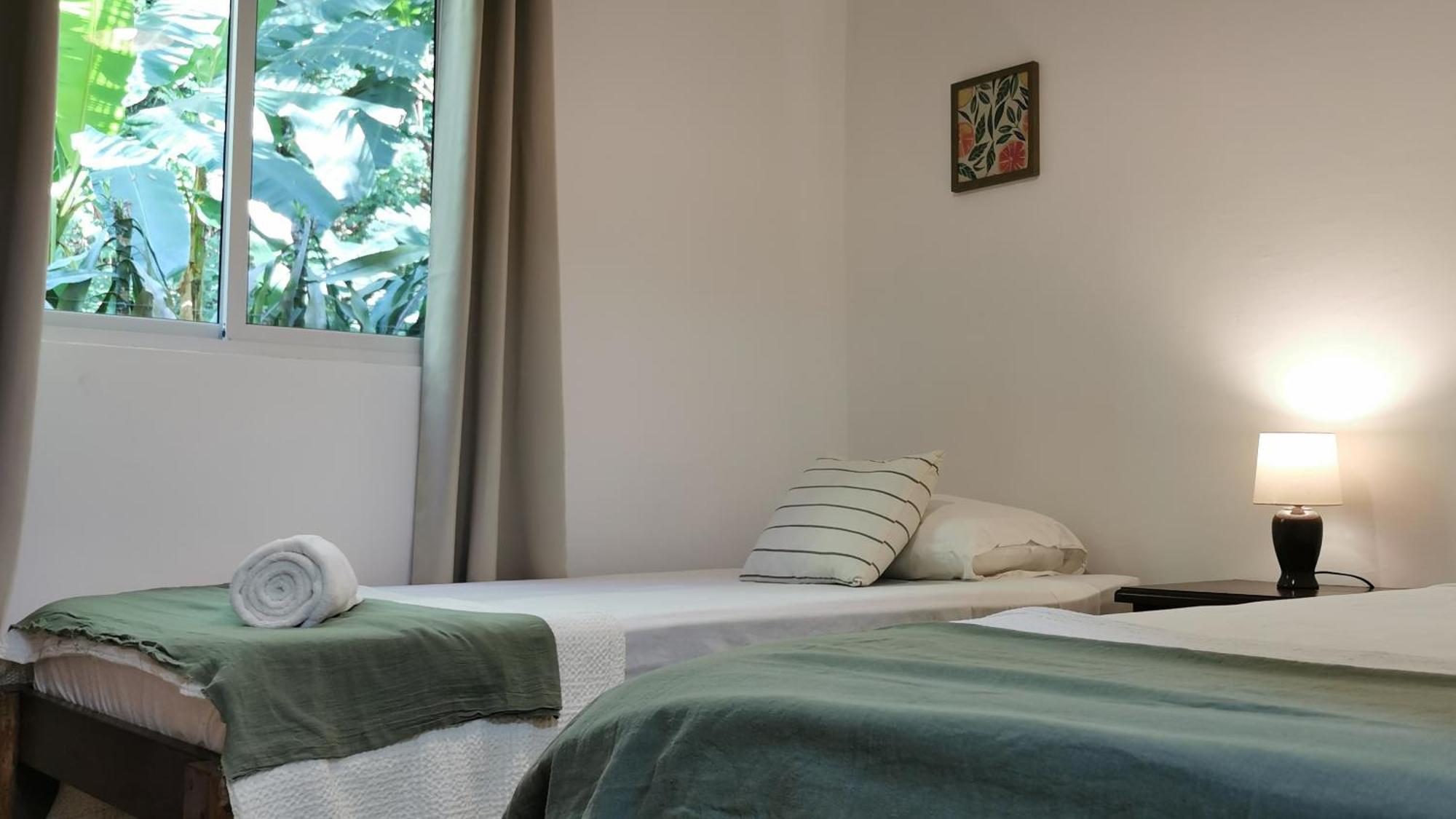 Colibri Apartments - 4 Min Walk To The Beach! Playa Santa Teresa  Phòng bức ảnh