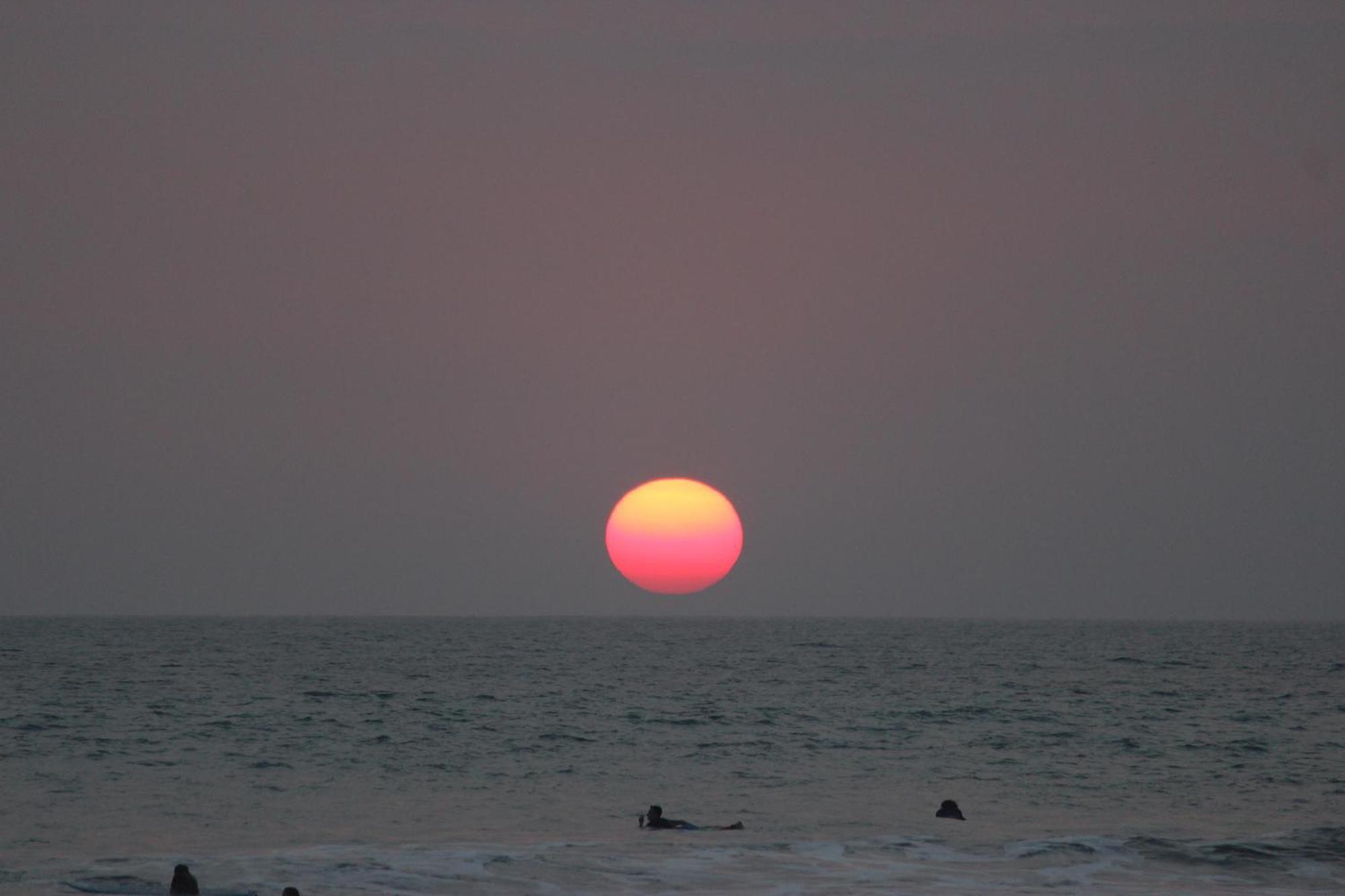 Colibri Apartments - 4 Min Walk To The Beach! Playa Santa Teresa  Ngoại thất bức ảnh