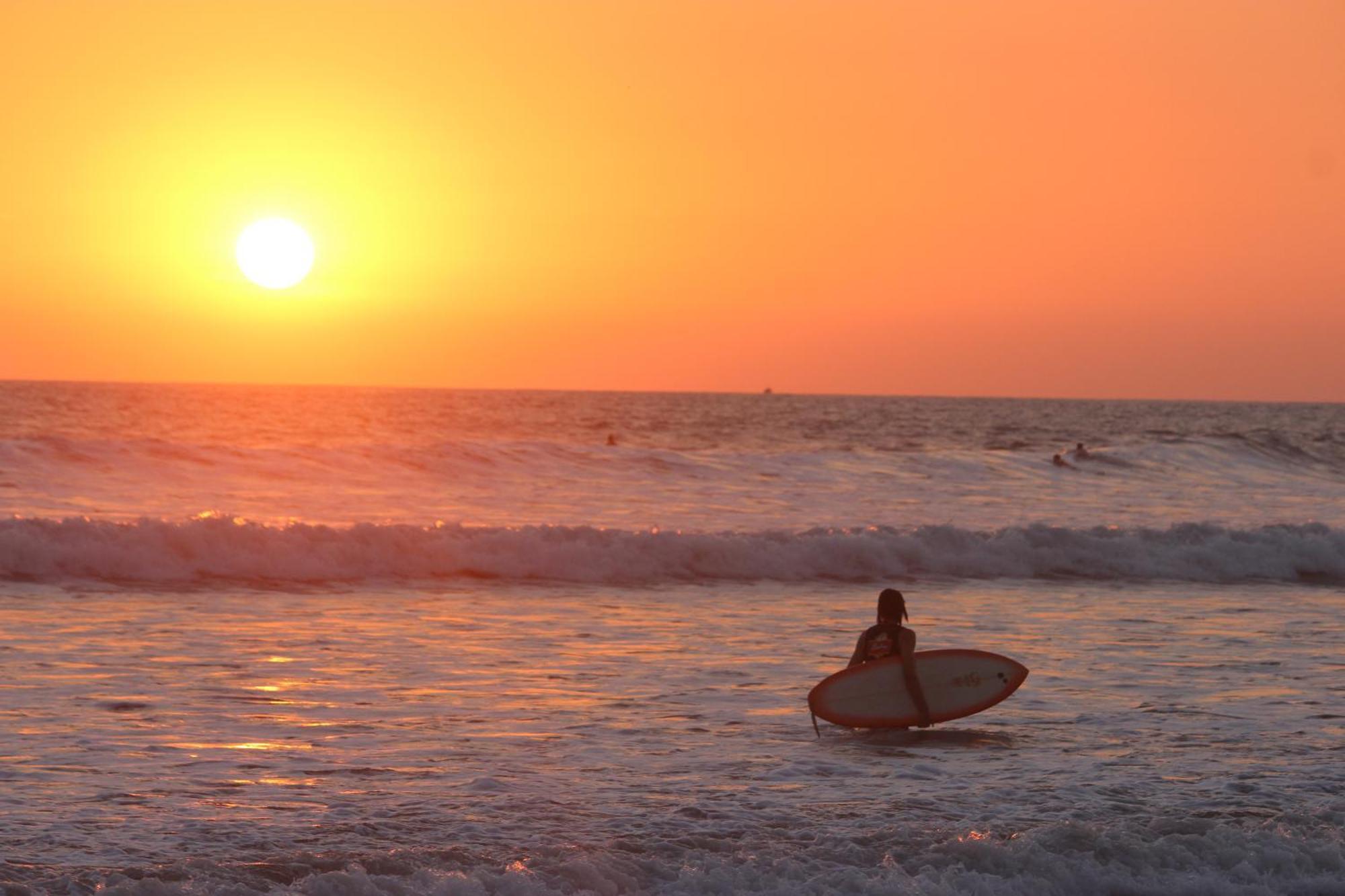 Colibri Apartments - 4 Min Walk To The Beach! Playa Santa Teresa  Ngoại thất bức ảnh