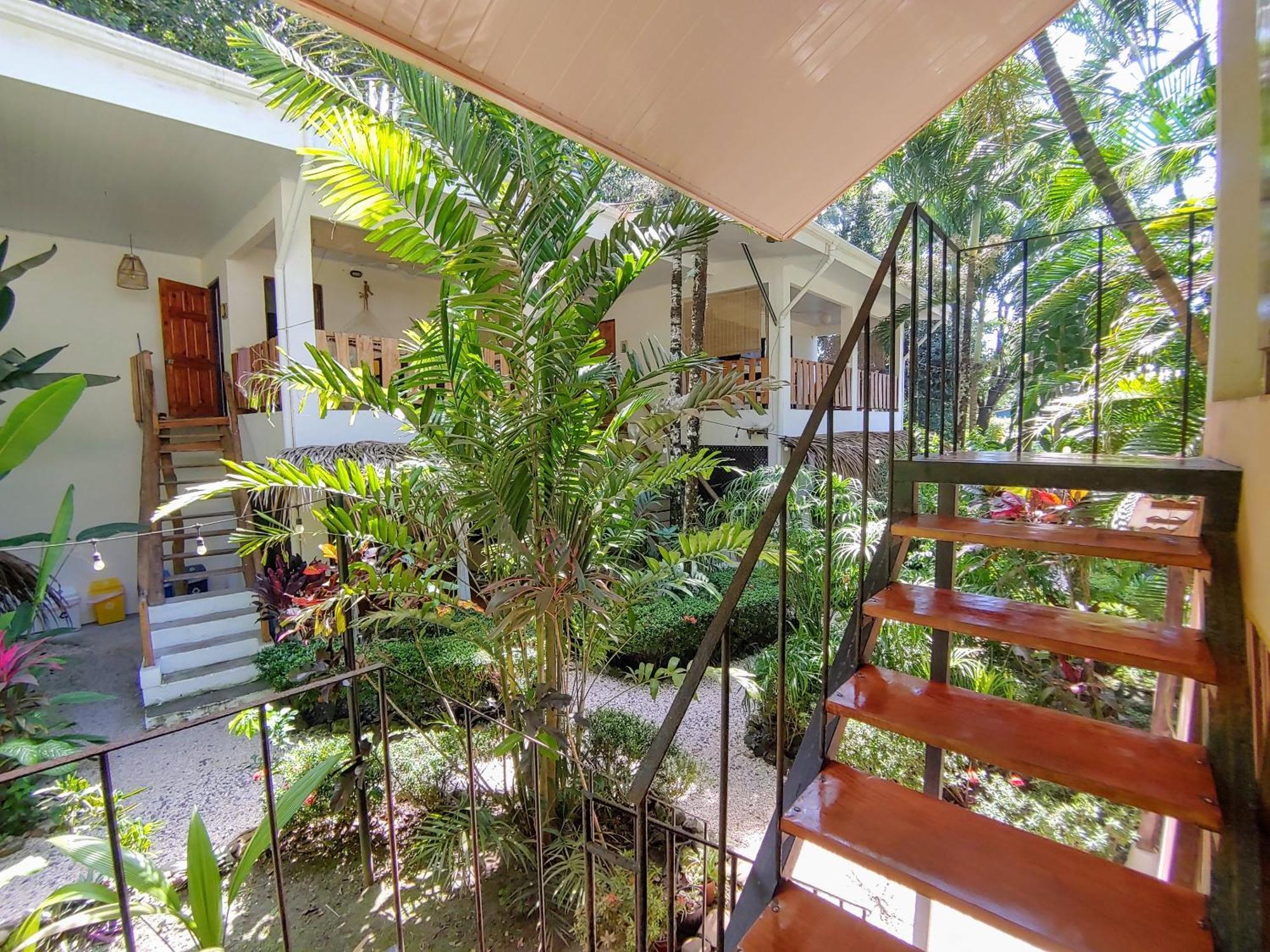 Colibri Apartments - 4 Min Walk To The Beach! Playa Santa Teresa  Ngoại thất bức ảnh